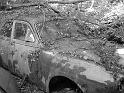Autofriedhof - 156